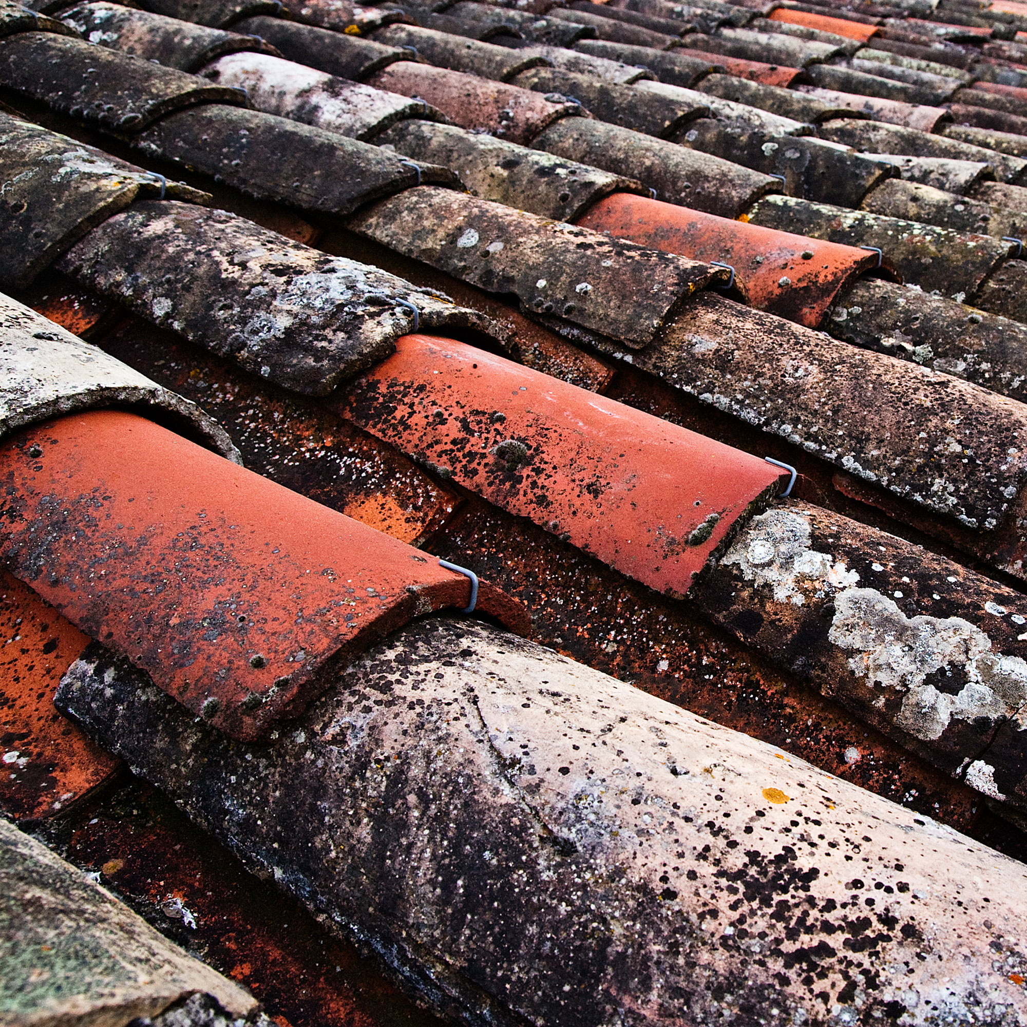 French Roof Tiles