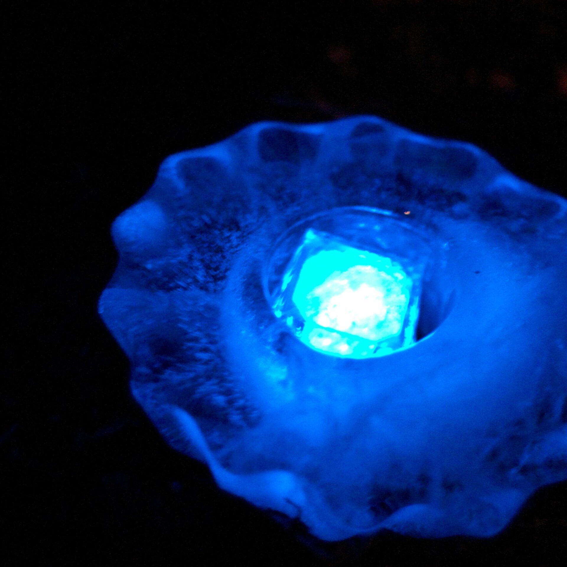 Luminara #7 (Ice Flower)