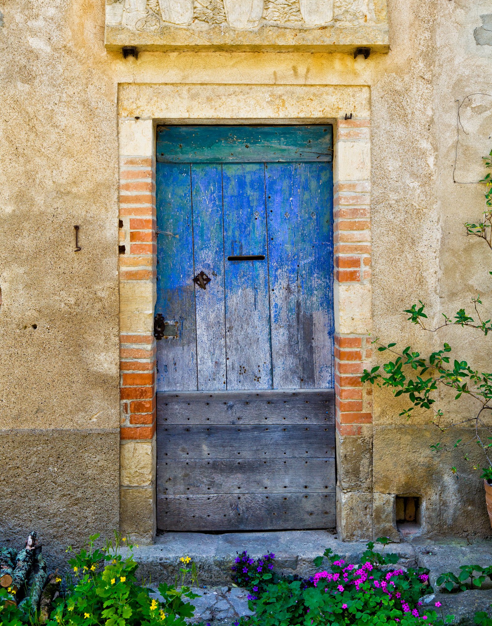 Wooden Door #1